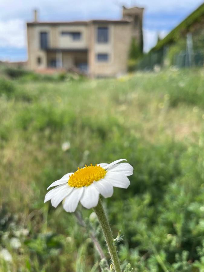El Cipres De Valdeprados Villa Exteriör bild